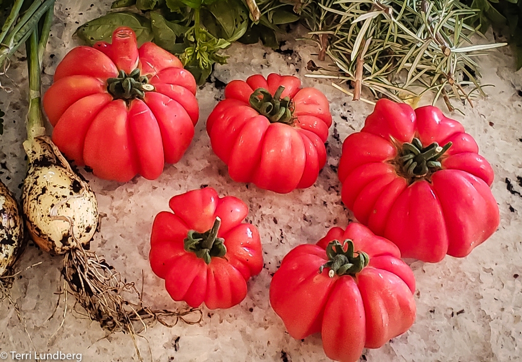 Mushroom Basket Tomato Variety