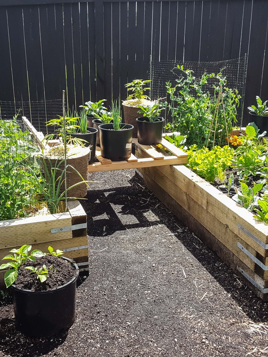 6 Surprisingly Easy Steps to Starting Your Kitchen&nbsp;Garden