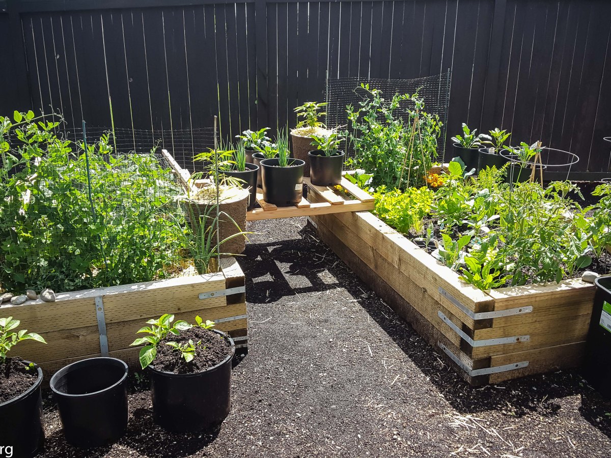 6 Surprisingly Easy Steps to Starting Your Kitchen&nbsp;Garden