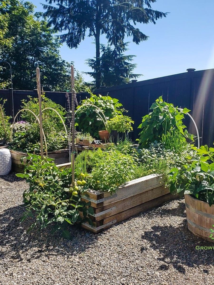 Vegetable Garden Planning in 3 Easy&nbsp;Steps